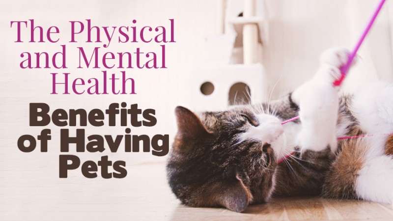 The Physical and Mental Health Benefits of Having Pets